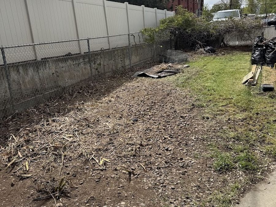 Yard & brush cleanup - after