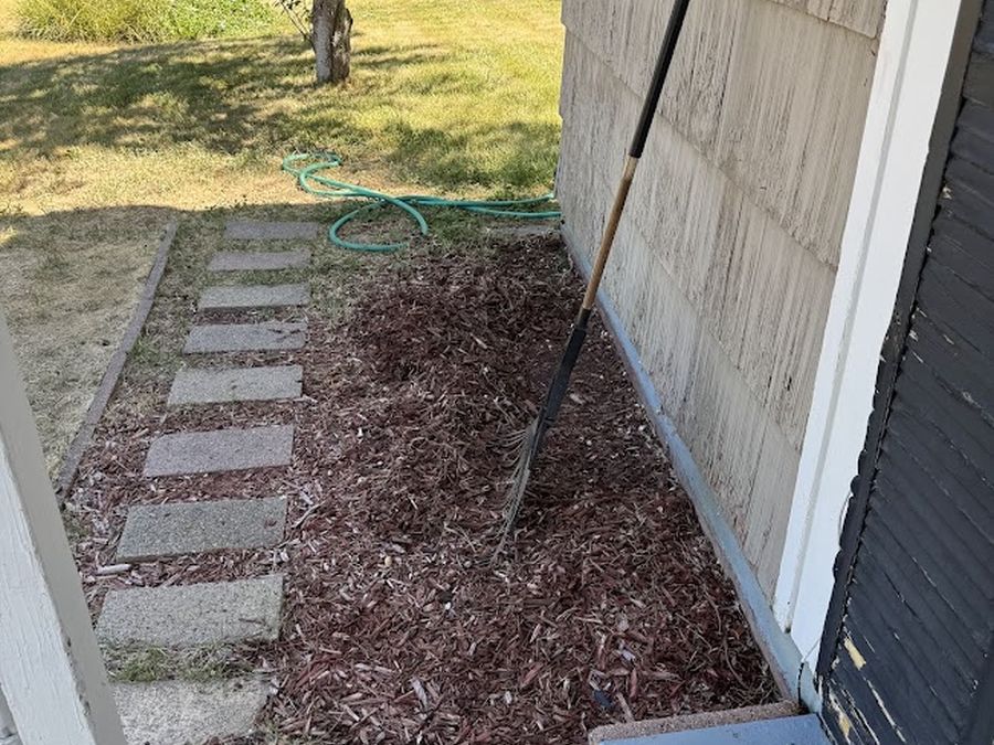 Exterior & planting bed - before