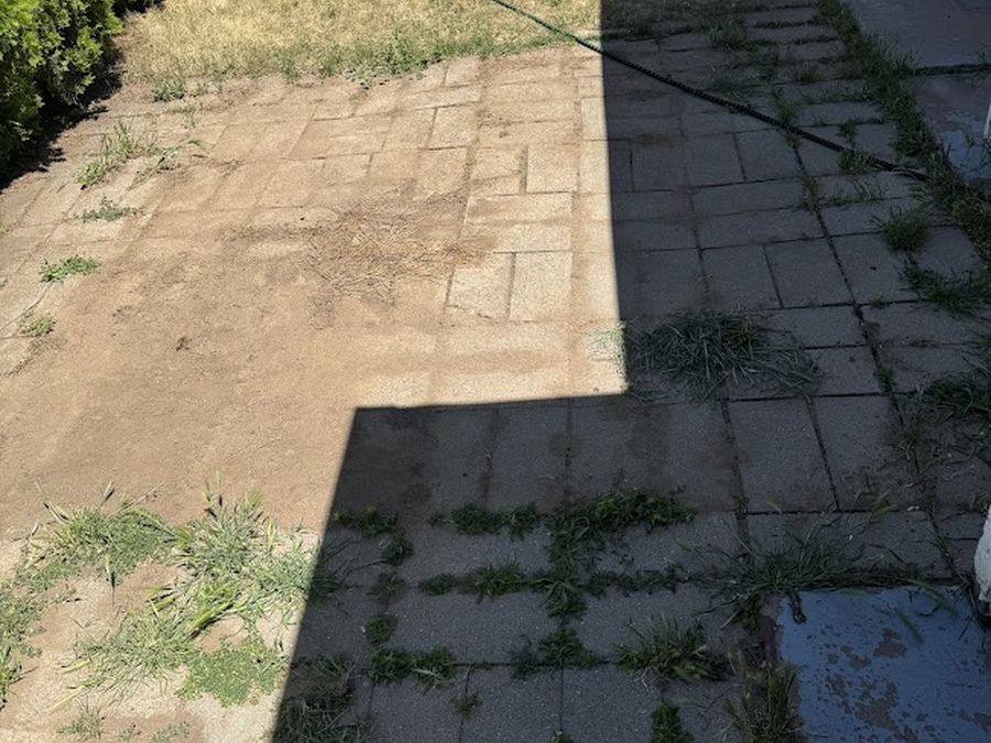 Paver patio cleanup - before
